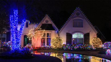 brighten-your-holiday-season-with-professional-christmas-light-installation-by-elf-bros-christmas-lighting-in-bonita-springs-fl-and-nearby-areas