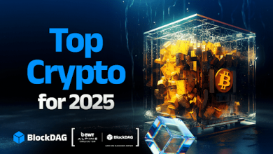 best-crypto-for-2025-bull-run:-blockdag,-polkadot,-stellar,-and-bitcoin-cash-leading-the-charge