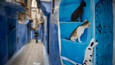 the-ultimate-photography-journey:-how-to-plan-a-private-photo-tour-in-morocco