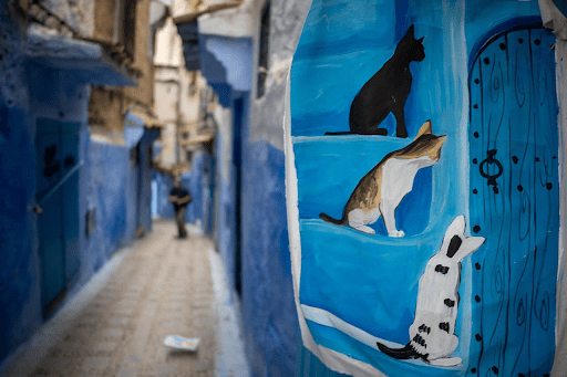 the-ultimate-photography-journey:-how-to-plan-a-private-photo-tour-in-morocco